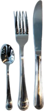 ELEGANT SILVER