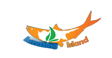 Amazing Island
