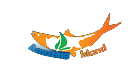 Amazing Island